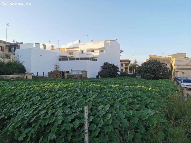 Terreno extenso en Santa Margalida, oportunidad única