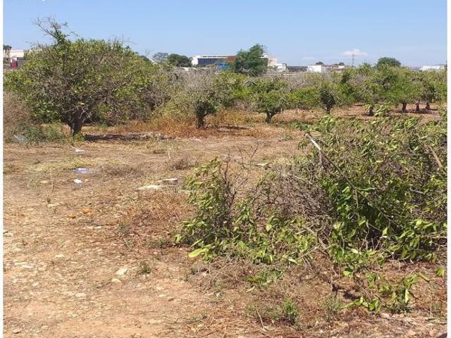 TERRENO ECONÓMICO RUSTICO A LA VENTA EN MONCADA.ZONA POLIGONO 3 AUTOVIA A7