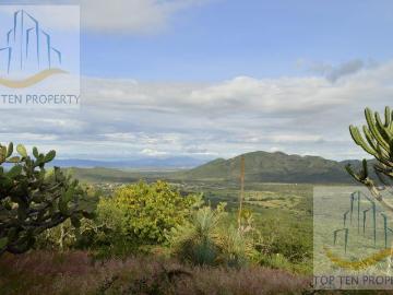 Terreno Ecoturistico en Pueblo Escol?stica