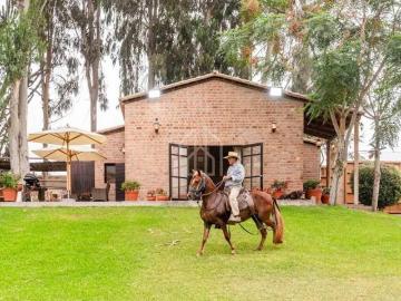 Terreno Ecueste con Casita de Campo Cieneguilla