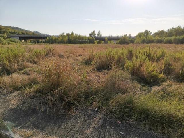 Terreno ed. ind.le/artig.le in vendita a Badia a Elmi San Gimignano 35000 mq Rif: 1190251