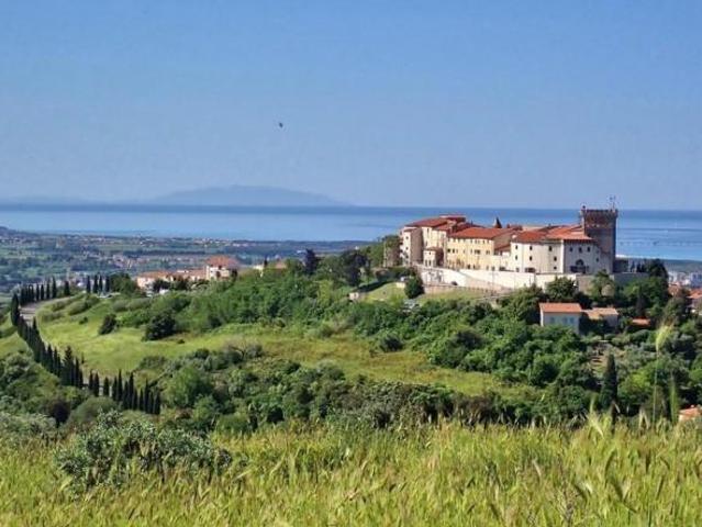 Terreno edif. residenziale in vendita a Castelnuovo Misericordia Rosignano Marittimo 15000 mq Rif: 1412515