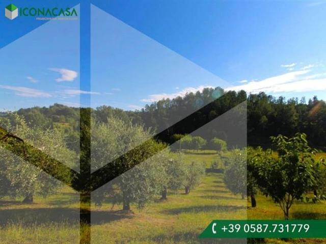 Terreno edif. residenziale in vendita a Chiecinella Palaia 4000 mq Rif: 1333687
