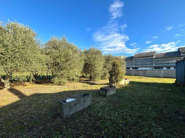 Terreno edif. residenziale in vendita a Ponsacco 944 mq Rif: 1392892