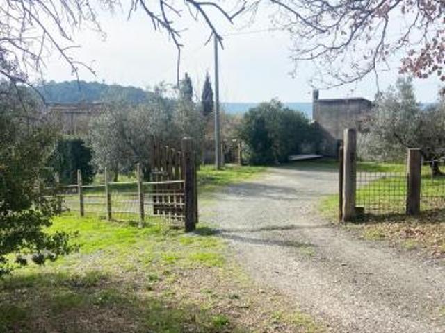 Terreno edif. residenziale in vendita a Riparbella 6500 mq Rif: 1409836
