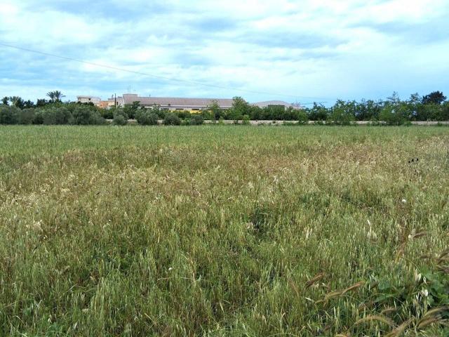 Terreno edificabile commerciale in vendita a Nardo'