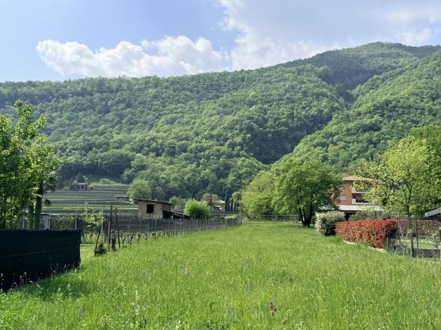 TERRENO EDIFICABILE IN PIANO DI 1376 MQ A RIVA SAN VITALE