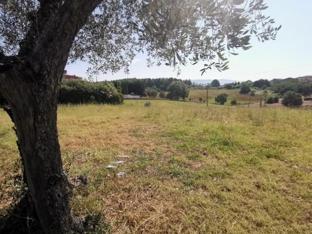 Terreno Edificabile in vendita, Cerreto Guidi stabbia