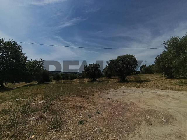 Terreno edificabile in vendita a Torrevecchia Teatina