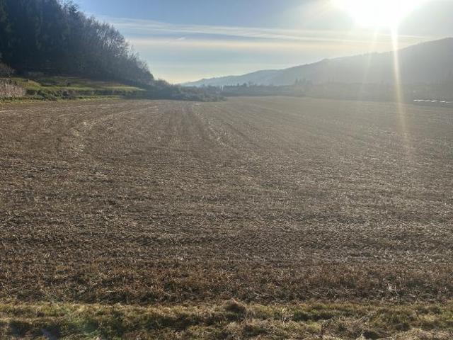 Terreno edificabile in vendita a Tregnago
