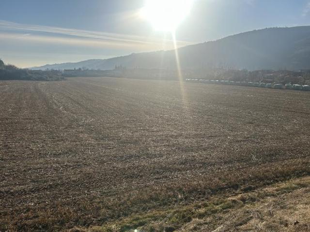 Terreno edificabile in vendita a Tregnago