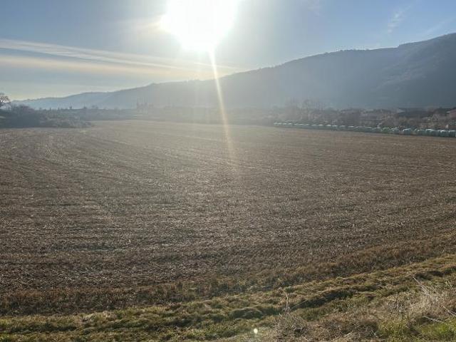 Terreno edificabile in vendita a Tregnago