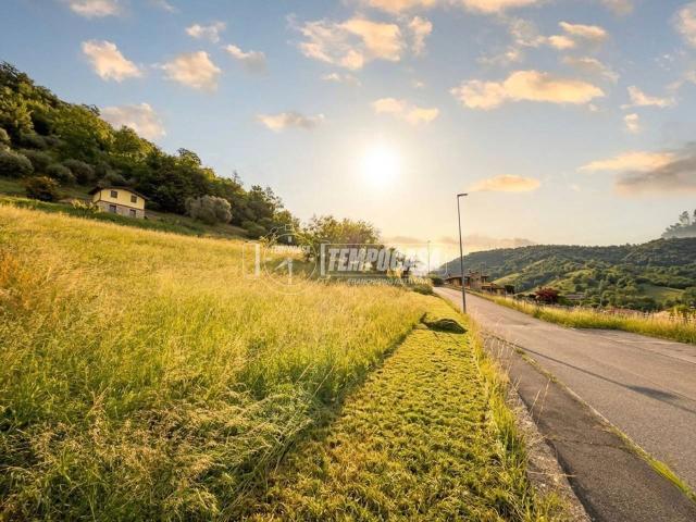 Terreno edificabile in vendita a Viadanica