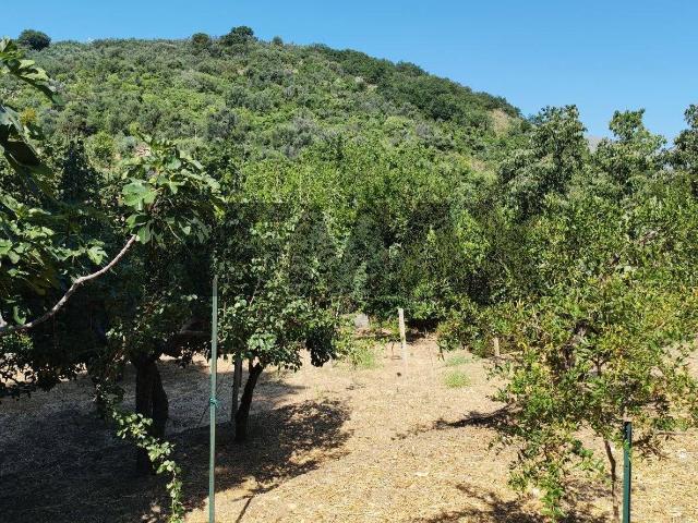 Terreno edificabile in vendita a Altofonte