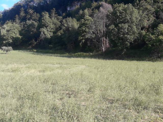 Terreno edificabile in vendita a Ascoli Piceno, Rosara