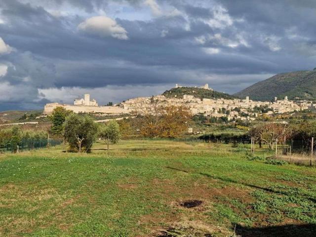 Terreno edificabile in vendita a Assisi