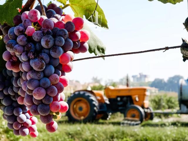 Terreno edificabile in vendita a Appiano Sulla Strada Del Vino