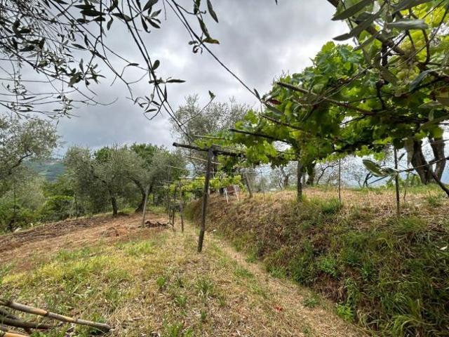 Terreno edificabile in vendita a Arcola