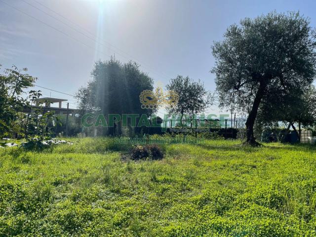 Terreno edificabile in vendita a Avella