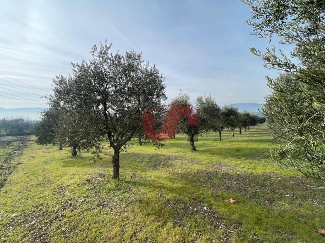 Terreno edificabile in vendita a Benevento
