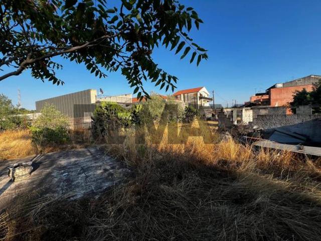 Terreno Edificabile in vendita a Camporotondo Etneo