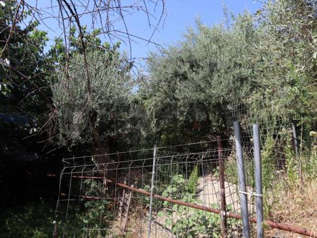 Terreno Edificabile in vendita a Calatabiano
