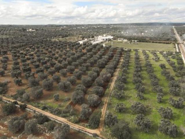 Terreno edificabile in vendita a Carovigno