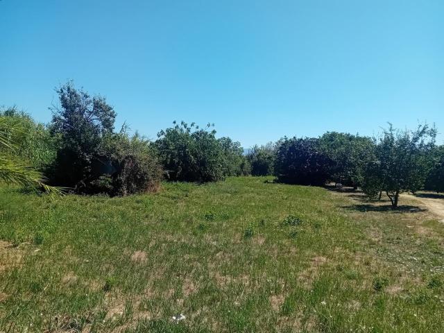 Terreno edificabile in vendita a Civita Castellana