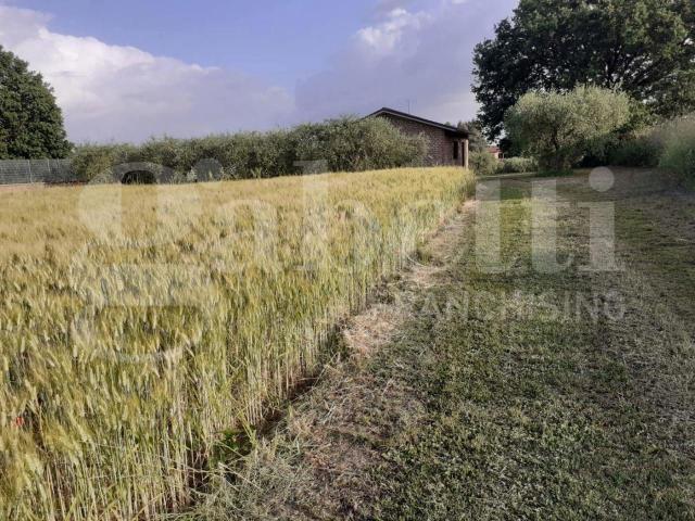 Terreno edificabile in vendita a Fabrica Di Roma