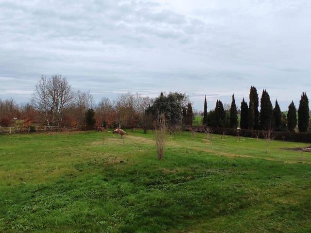 Terreno edificabile in vendita a Fauglia, Acciaiolo