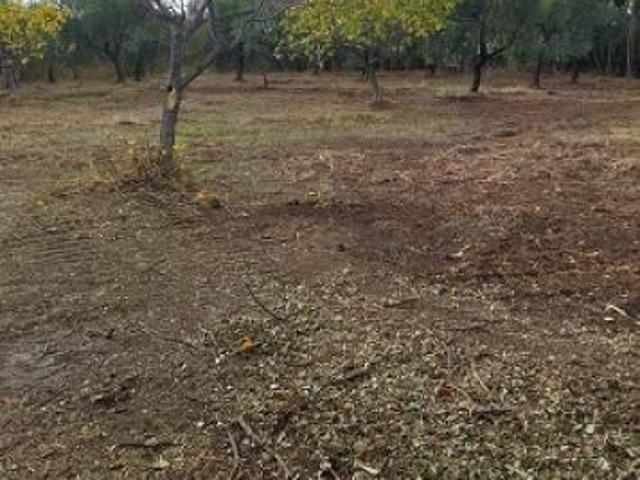 Terreno edificabile in vendita a Filetto