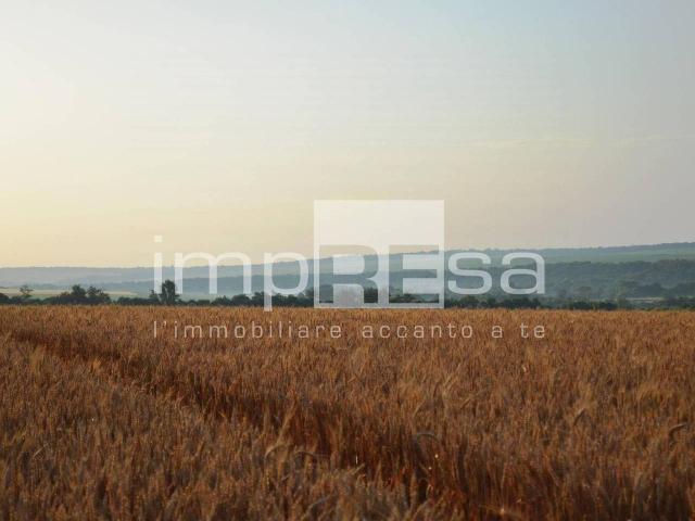 Terreno edificabile in vendita a Fossalta Di Piave