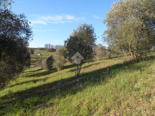 Terreno edificabile in vendita a Grosseto
