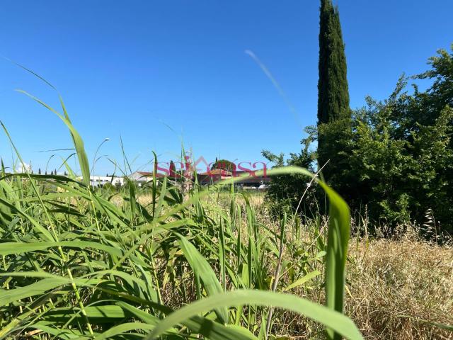 Terreno edificabile in vendita a Grosseto, Citt