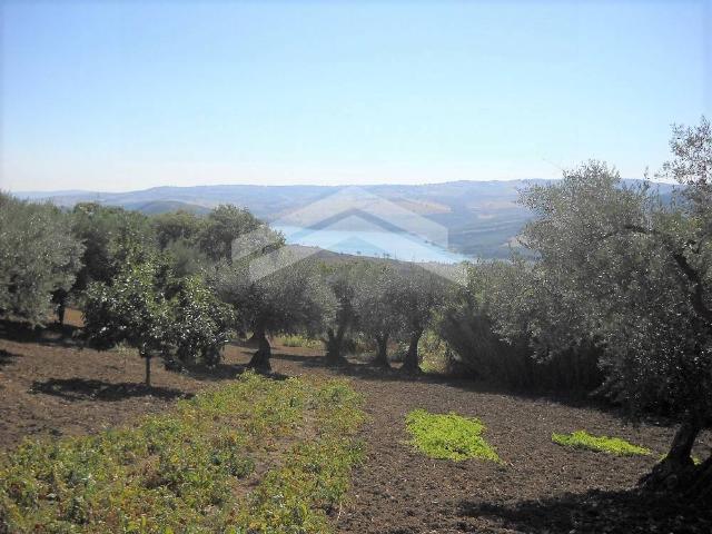 Terreno edificabile in vendita a Guardialfiera
