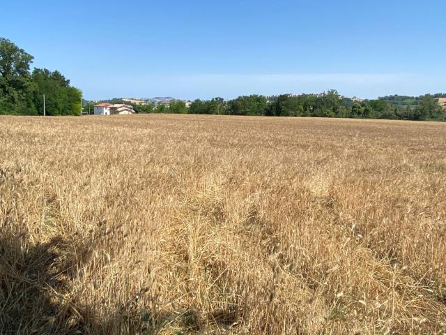 Terreno edificabile in vendita a Magliano di Tenna