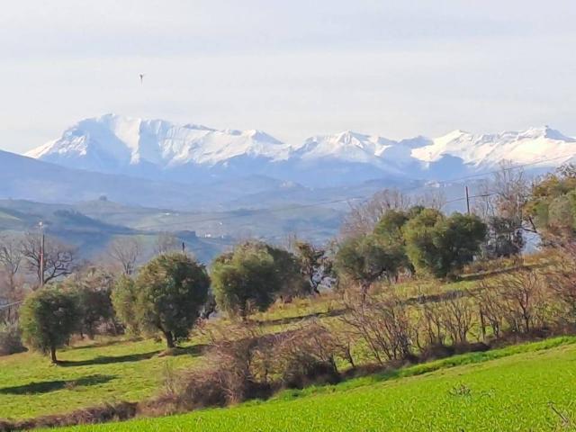 Terreno edificabile in vendita a Massignano, Residenziale