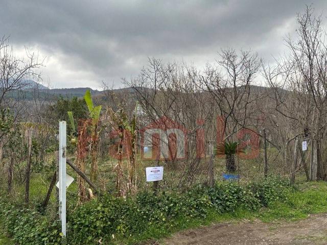 Terreno edificabile in vendita a Mugnano del Cardinale