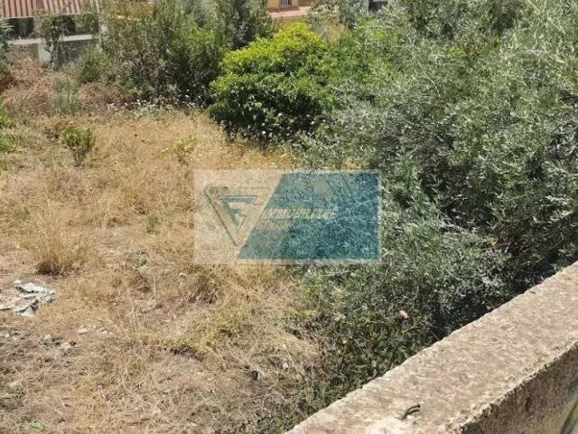 Terreno edificabile in vendita a Noto