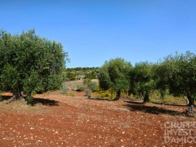 Terreno edificabile in vendita a Ostuni