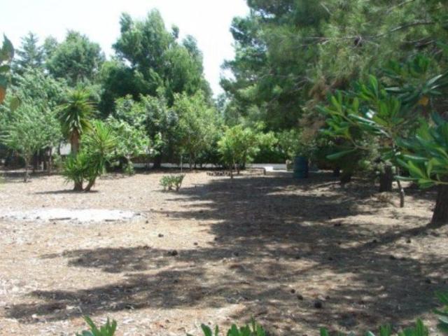 Terreno edificabile in vendita a Ostuni