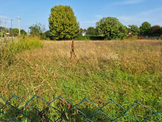 Terreno edificabile in vendita a Paese, Postioma