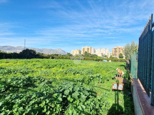 Terreno agricolo in vendita a Palermo