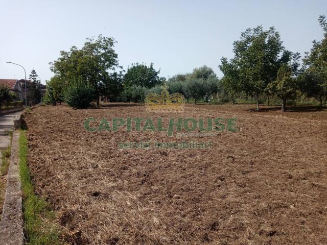 Terreno edificabile in vendita a Pastorano, Pantuliano