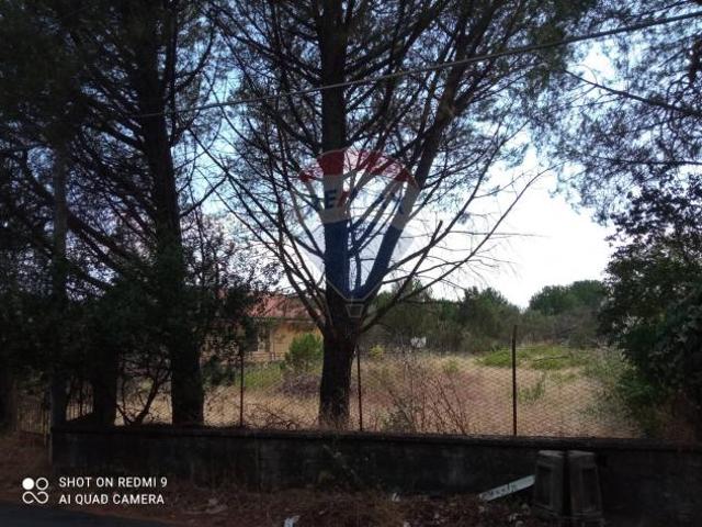 Terreno Edificabile in vendita a Pedara