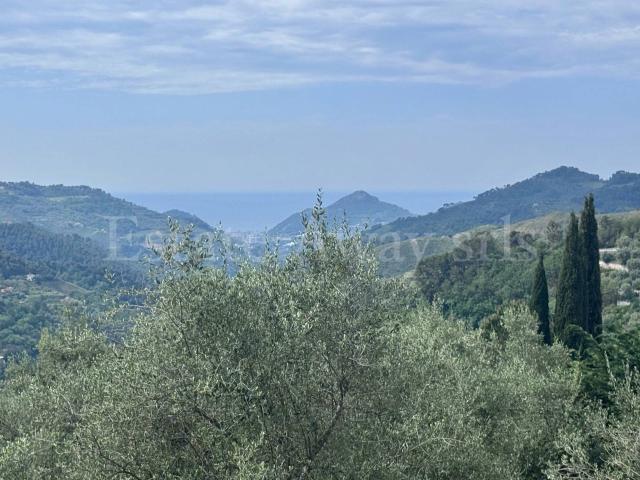 Terreno edificabile in vendita a Perinaldo