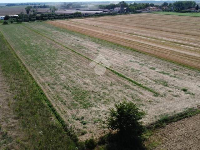 Terreno edificabile in vendita a Pisa