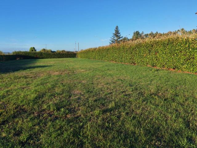 Terreno Edificabile in vendita a Ponsacco