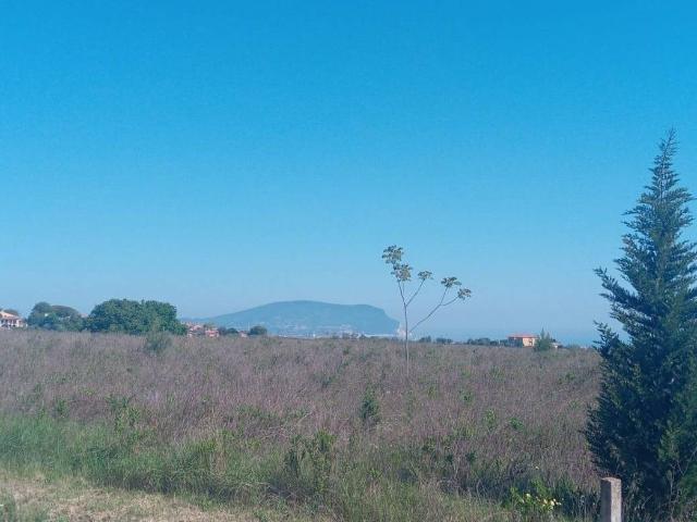 Terreno agricolo in vendita a Porto Recanati