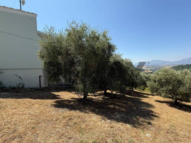 Terreno edificabile in vendita a Rosciano